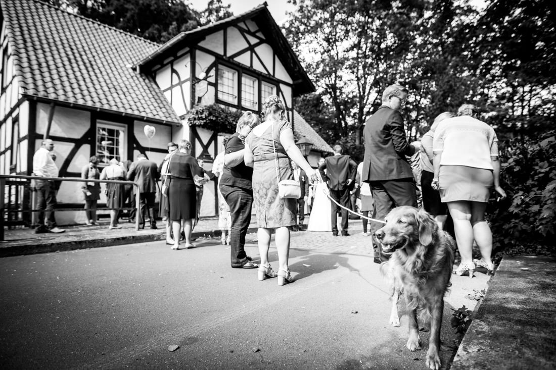 Miriam Hochzeitsfotograf Ladbergen-Hund